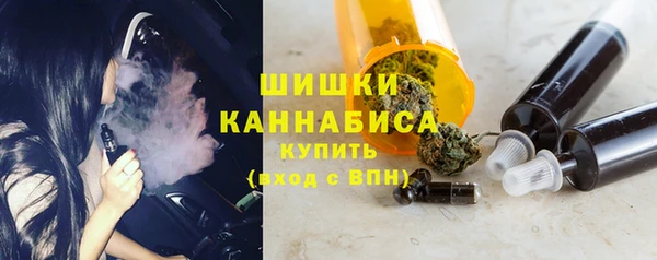 молекула духа Новодвинск