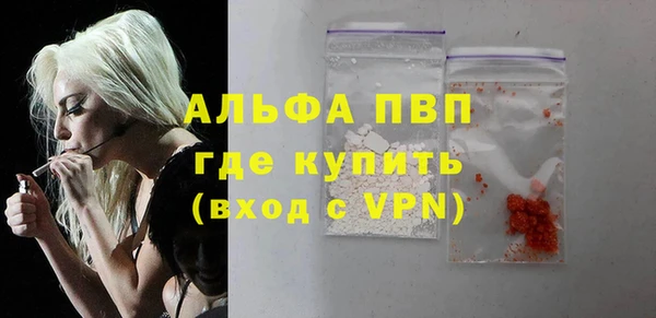 молекула духа Новодвинск