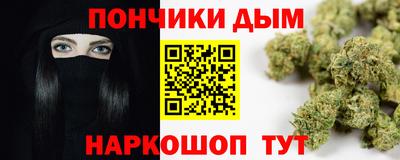 крисы Майкоп
