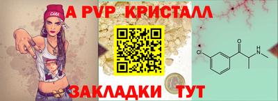 прущие крисы Гусев