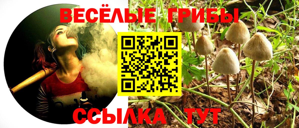 Псилоцибиновые грибы GOLDEN TEACHER Рославль